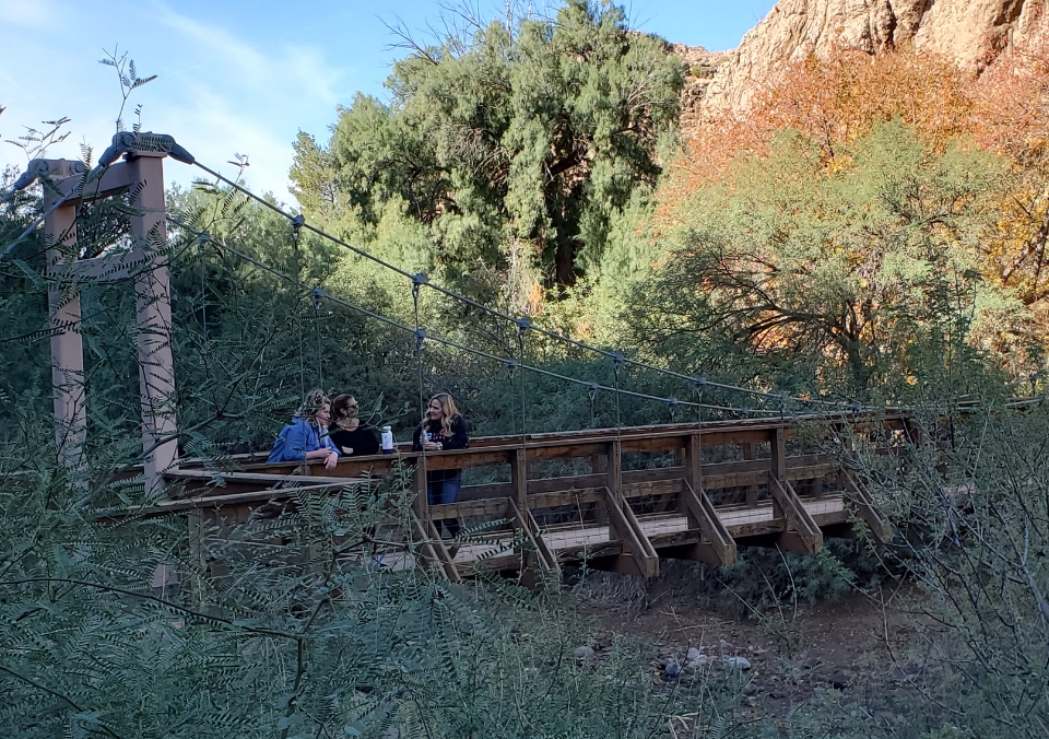 Employees out on a hike during a department gathering